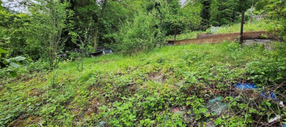 Земельный участок в Freudenstadt, Германия № 3786 9