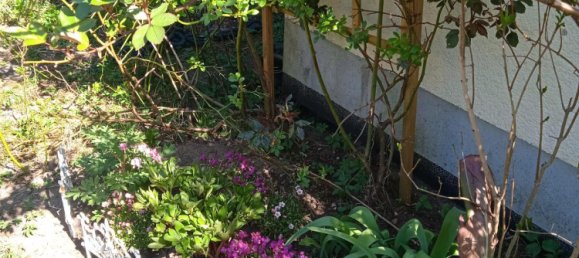 1 chambre Maison à Steinfurt, Germany No. 267498 2