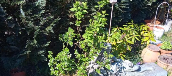 1 chambre Maison à Steinfurt, Germany No. 267498 4