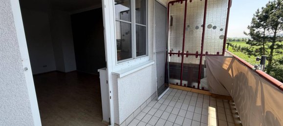 2 bedrooms Apartment in Persenbeug-Gottsdorf, Austria No. 173952 19