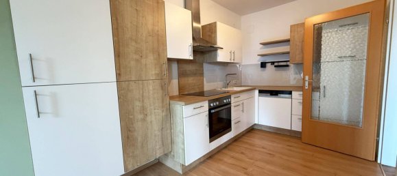 2 bedrooms Apartment in Persenbeug-Gottsdorf, Austria No. 173952 15