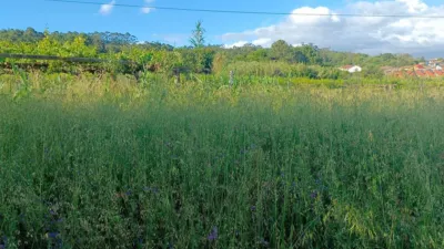 Terreno en Sanxenxo, Spain No. 106031