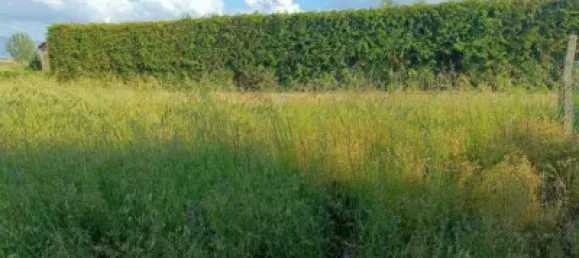 Terreno en Sanxenxo, Spain No. 106031 15