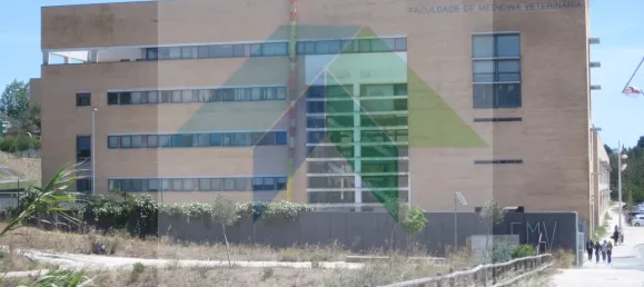 9 Schlafzimmer Haus in Lisbon, Portugal, Nr. 135011 20