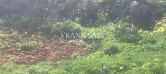 Grundstück in Dingli, Malta 160m², Nr. 13547 2