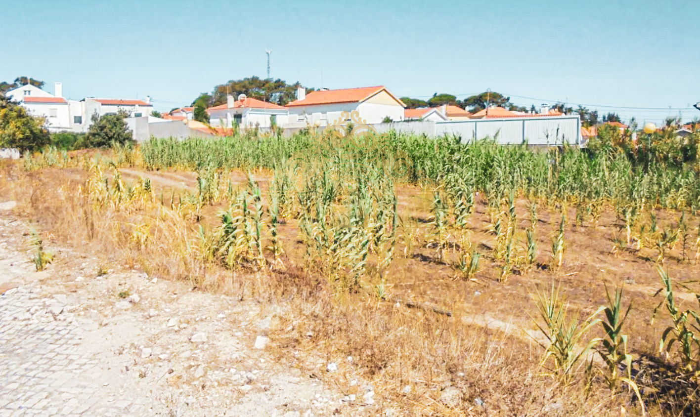Grundstück in Sesimbra, Portugal 1m², Nr. 145916