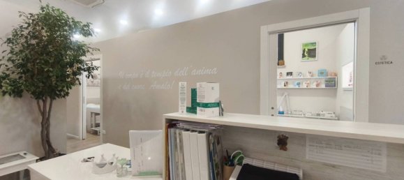 5 rooms Commercial property in Verona, Italy No. 341394 9