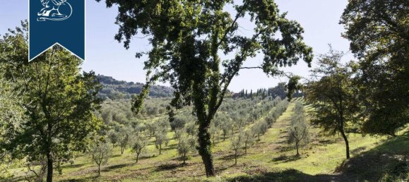 7 bedrooms Villa in Siena, Italy No. 362931 35