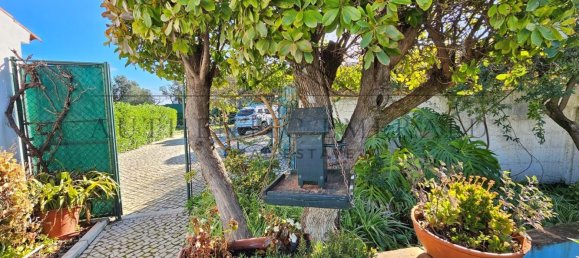 4 bedrooms House in Sao Bras de Alportel, Portugal No. 124954 16