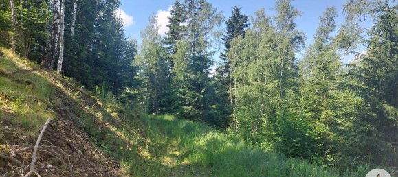 Land in Krumau am Kamp, Austria No. 30633 5