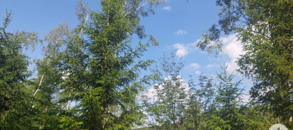 Land in Krumau am Kamp, Austria No. 30633 6