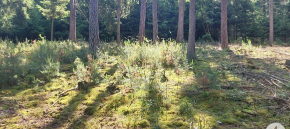 Land in Krumau am Kamp, Austria No. 30633 16