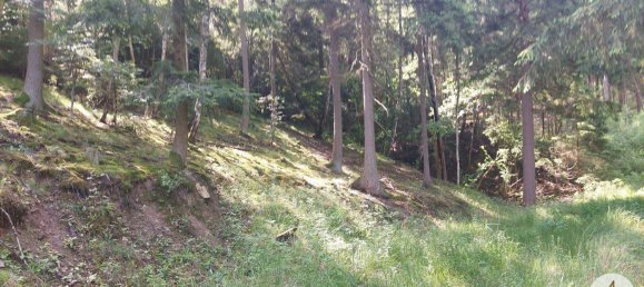 Land in Krumau am Kamp, Austria No. 30633 9