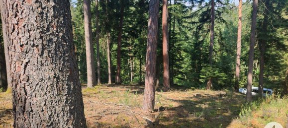 Land in Krumau am Kamp, Austria No. 30633 3