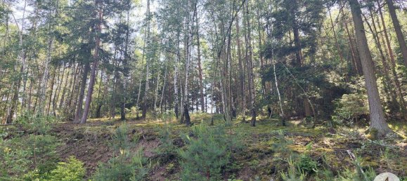 Land in Krumau am Kamp, Austria No. 30633 8