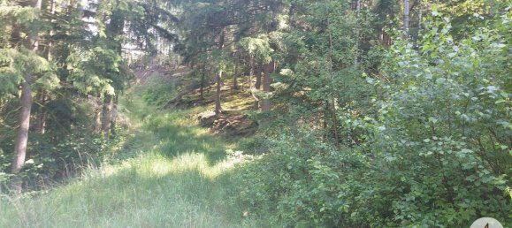 Land in Krumau am Kamp, Austria No. 30633 4