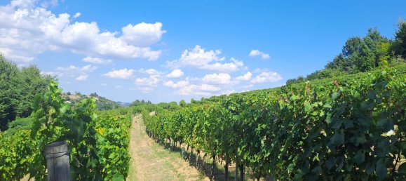 52000m² Land in Loazzolo, Italy No. 283417 6