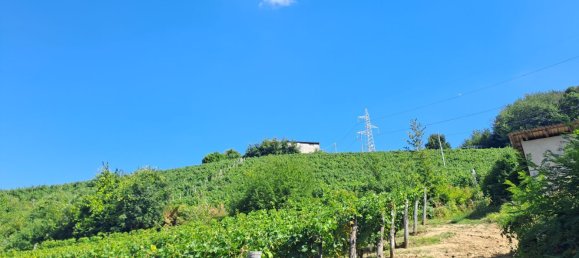 52000m² Land in Loazzolo, Italy No. 283417 2