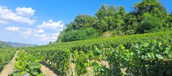 52000m² Land in Loazzolo, Italy No. 283417 5