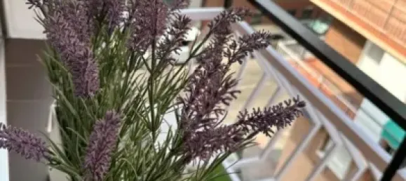 3 bedrooms Apartment in Madrid, Spain No. 178807 18