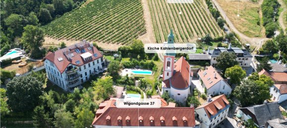 2 rooms Apartment in Dobling, Austria No. 172124 15