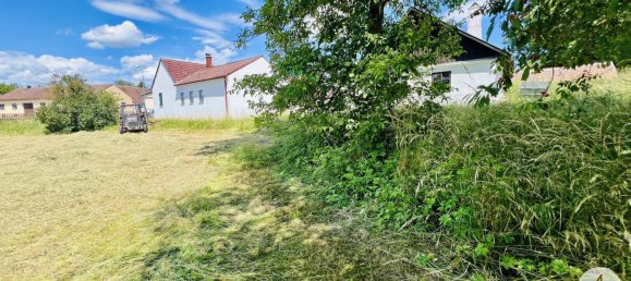 6-Zimmer Haus in Geras, Austria, Nr. 259201 5