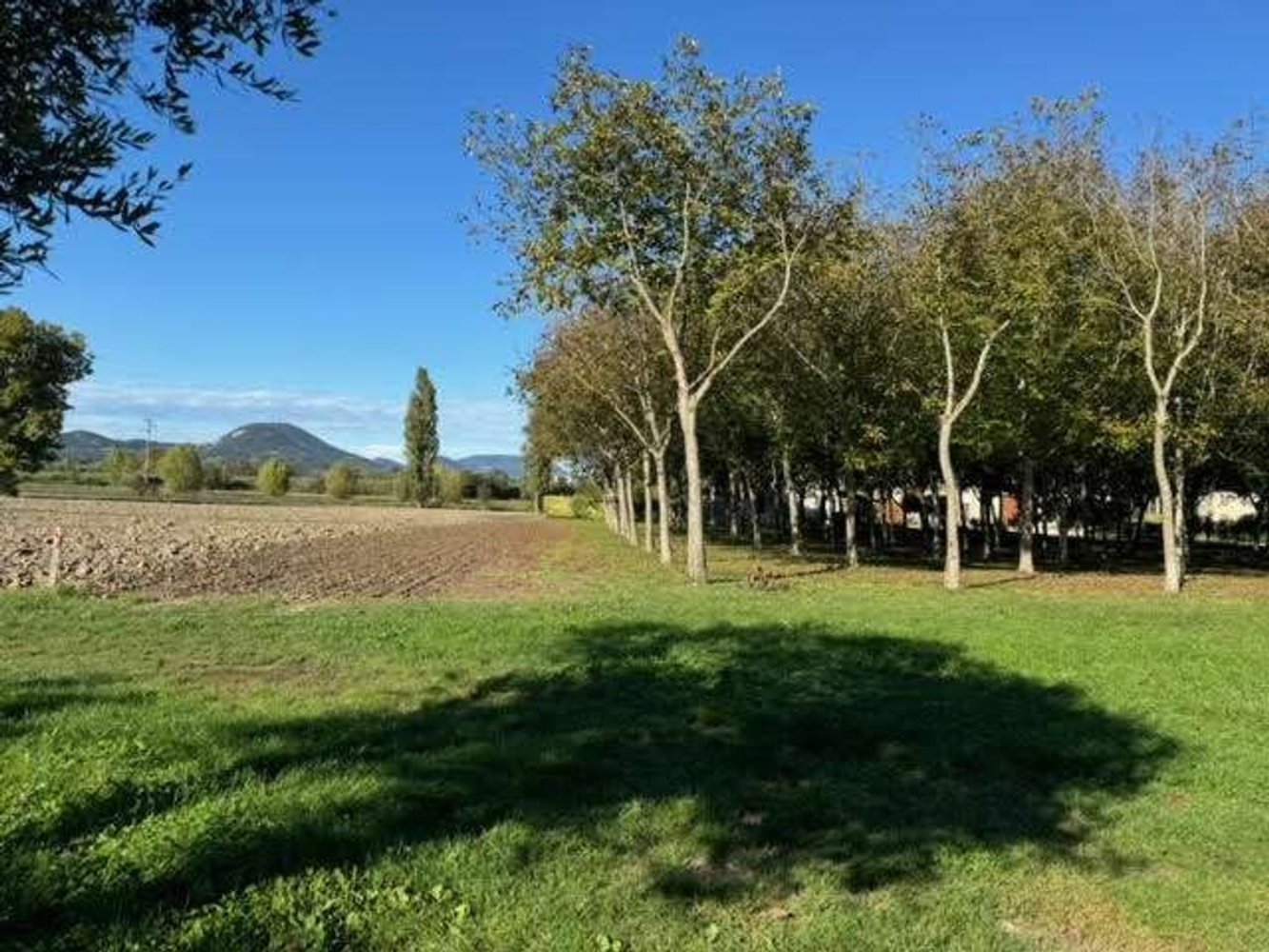 60000m² Commercial property in Padua, Italy No. 385092