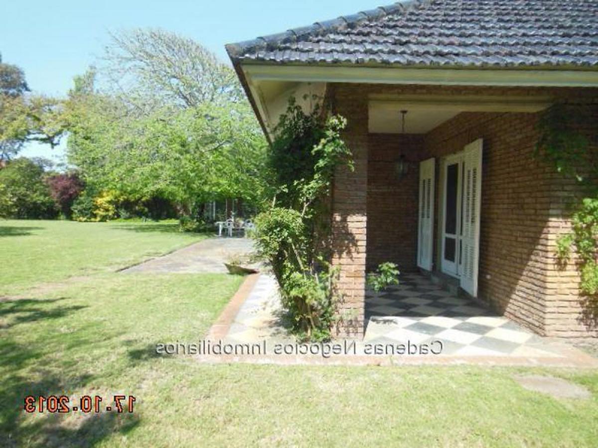 Дом с 5 спальнями в Монтевидео, Уругвай № 515