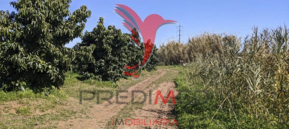 Terrain à Vila Nova de Cacela, Portugal 24080m² No. 67969 17