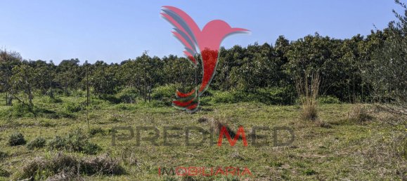 Terrain à Vila Nova de Cacela, Portugal 24080m² No. 67969 12