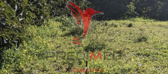 Terrain à Vila Nova de Cacela, Portugal 24080m² No. 67969 10