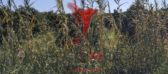 Terrain à Vila Nova de Cacela, Portugal 24080m² No. 67969 14