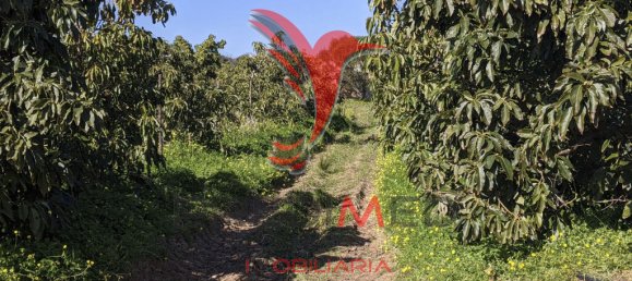 Terrain à Vila Nova de Cacela, Portugal 24080m² No. 67969 18