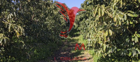 Terrain à Vila Nova de Cacela, Portugal 24080m² No. 67969 15