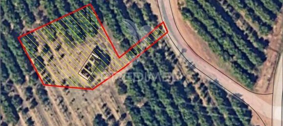 Terrain à Vila Nova de Cacela, Portugal 24080m² No. 67969 20