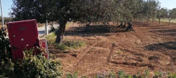 3 rooms House in Trapani, Italy No. 252008 13