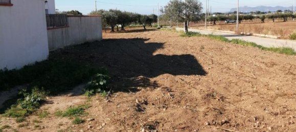 3 rooms House in Trapani, Italy No. 252008 14