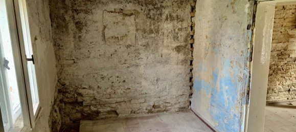 2 rooms House in Potsdam-Mittelmark, Germany No. 323307 14