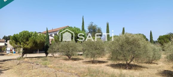 1099m² Commercial property in Occitanie, France No. 354365 6