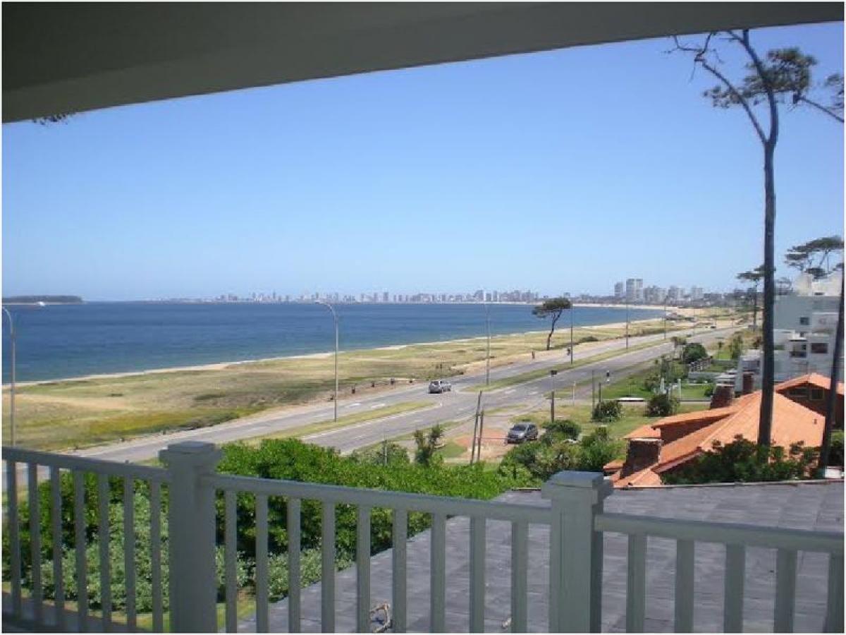 Дом с 8 спальнями в Мальдонадо, Уругвай № 998