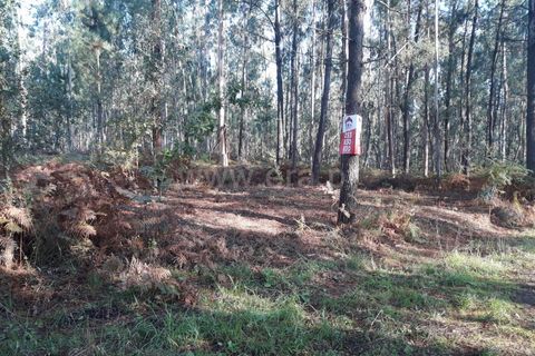 Terrain à Barcelos, Portugal No. 202224