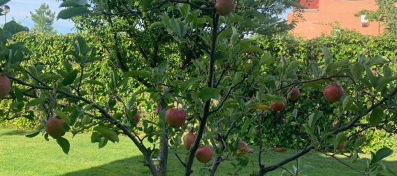 5 bedrooms House in Villamayor, Spain No. 153314 32