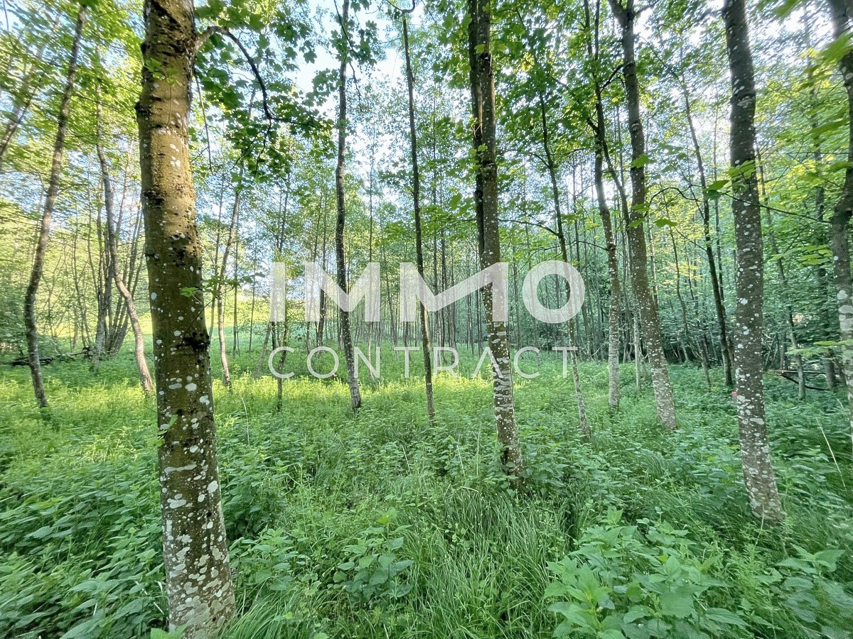 Terreno em Ardagger, Austria 6938 m² N.º 164612