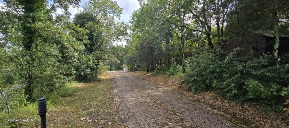 3 Schlafzimmer Haus in Monteverdi Marittimo, Italy, Nr. 337227 43