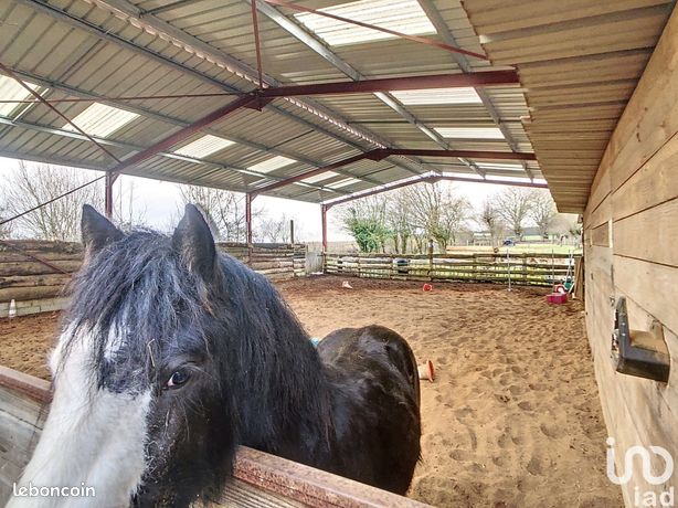 4 chambres Maison à Étais-la-Sauvin, France No. 363662