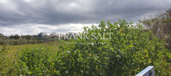 Bauernhof in Zejtun, Malta 186m², Nr. 2863 3