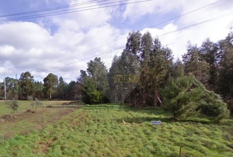 4650m² Warehouse in Anadia, Portugal No. 76483