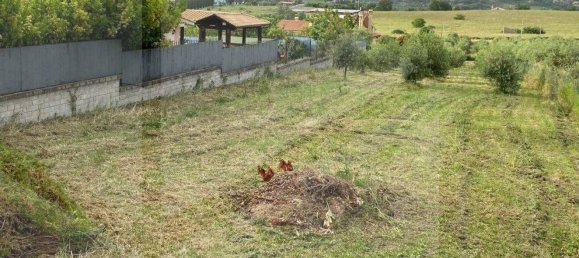 2000m² Land in Ciampino, Italy No. 29308 2