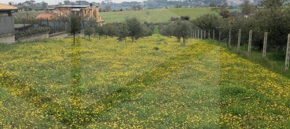 2000m² Land in Ciampino, Italy No. 29308 7