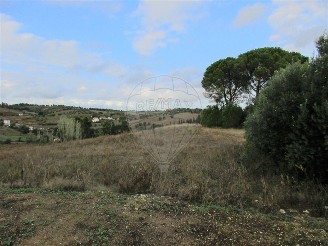 222m² Land in Cartaxo, Portugal No. 94949